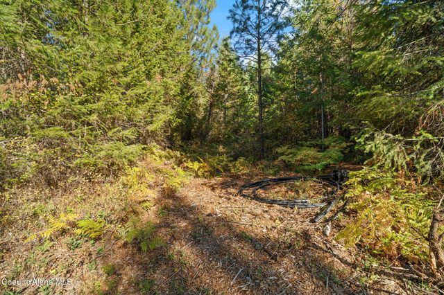 NNA Sunsetter Lane Lot 3, Cocolalla, ID 83813