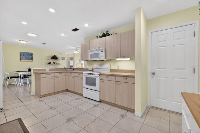 422 SAN MARINO DRIVE, The Villages, FL 32159