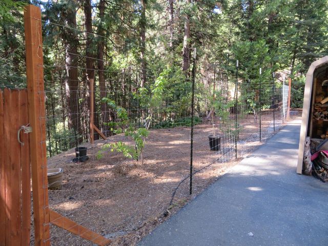 3281 Mountain Lake Dr, Pollock Pines, CA 95726