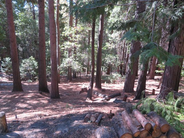 3281 Mountain Lake Dr, Pollock Pines, CA 95726