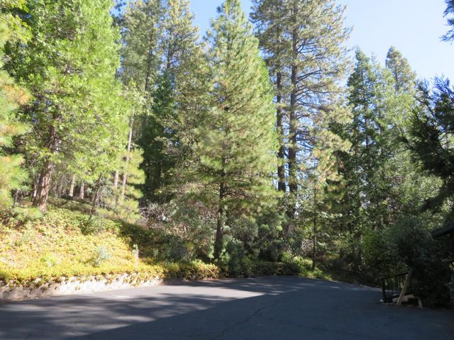 3281 Mountain Lake Dr, Pollock Pines, CA 95726
