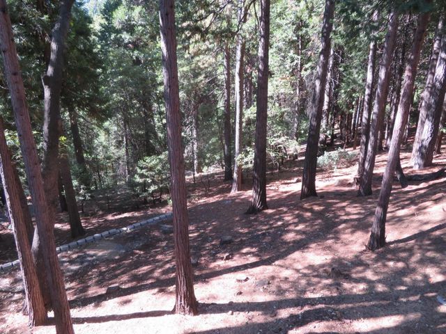 3281 Mountain Lake Dr, Pollock Pines, CA 95726