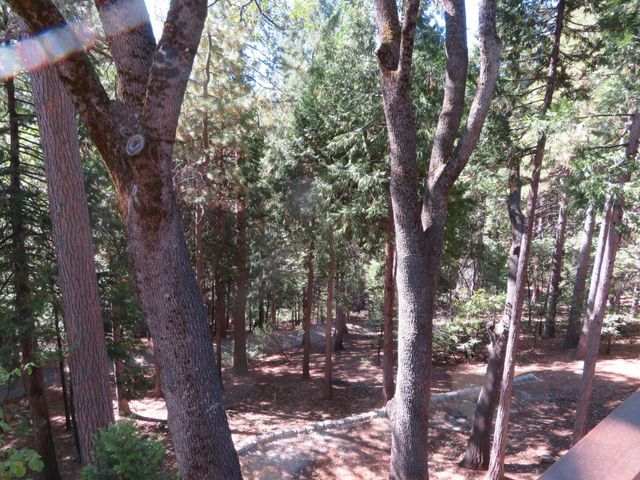 3281 Mountain Lake Dr, Pollock Pines, CA 95726