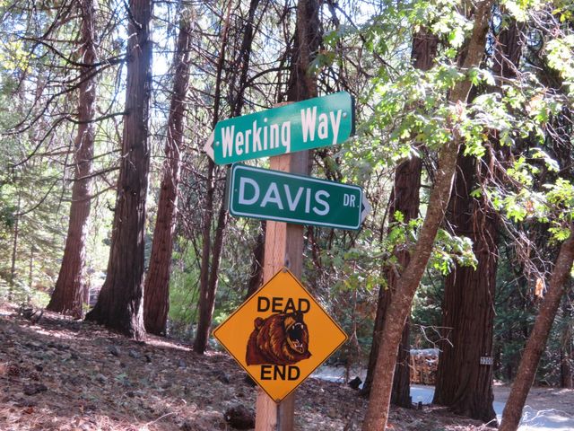 3281 Mountain Lake Dr, Pollock Pines, CA 95726