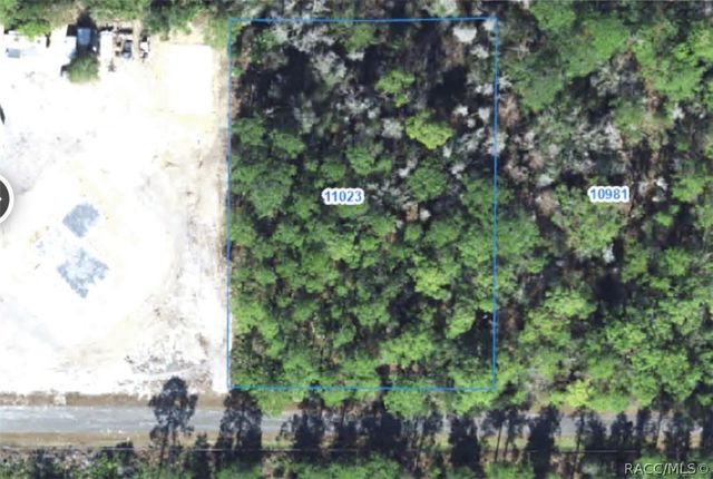 11023 W Acacia Drive, Crystal River, FL 34428