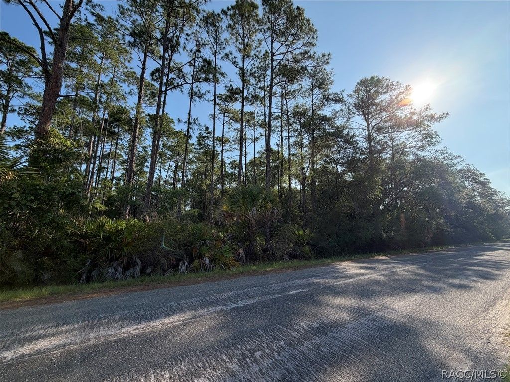 11023 W Acacia Drive, Crystal River, FL 34428
