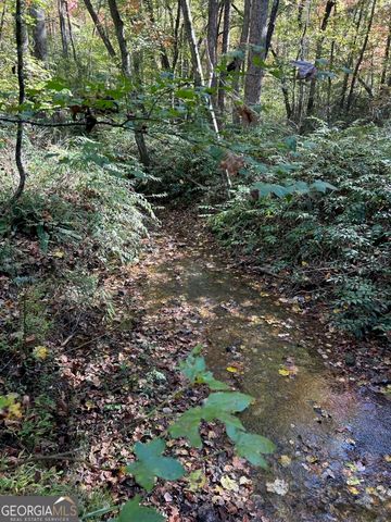 556 Amys Creek Road, Clarkesville, GA 30523