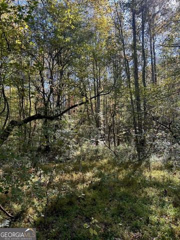 556 Amys Creek Road, Clarkesville, GA 30523