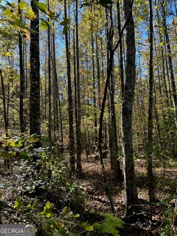 556 Amys Creek Road, Clarkesville, GA 30523