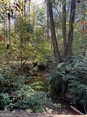 556 Amys Creek Road, Clarkesville, GA 30523