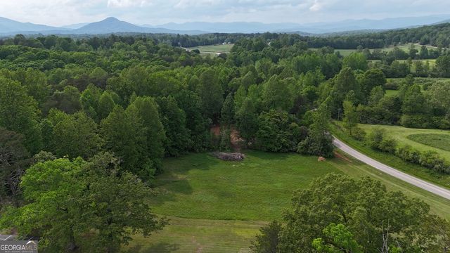556 Amys Creek Road, Clarkesville, GA 30523