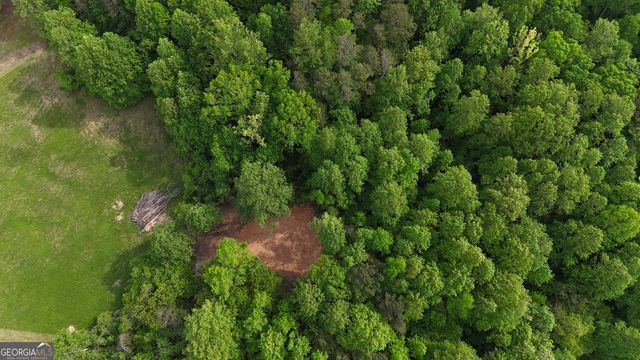 556 Amys Creek Road, Clarkesville, GA 30523