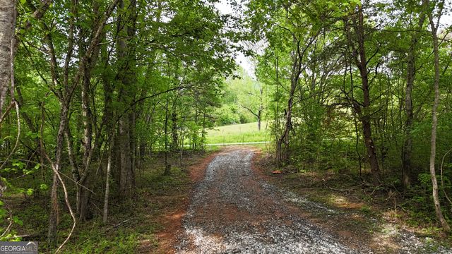 556 Amys Creek Road, Clarkesville, GA 30523