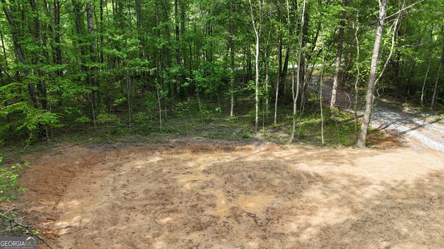 556 Amys Creek Road, Clarkesville, GA 30523