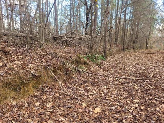 18.22 Talona Road, Ellijay, GA 30540