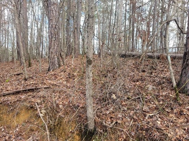 18.22 Talona Road, Ellijay, GA 30540