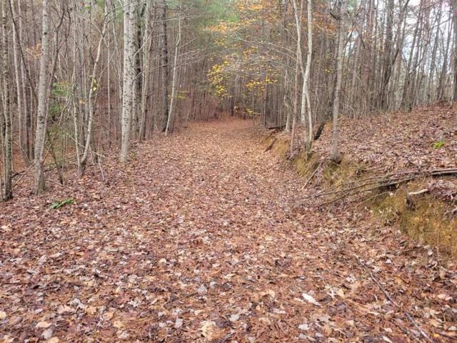 18.22 Talona Road, Ellijay, GA 30540