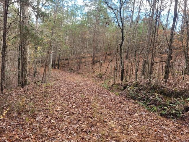 18.22 Talona Road, Ellijay, GA 30540