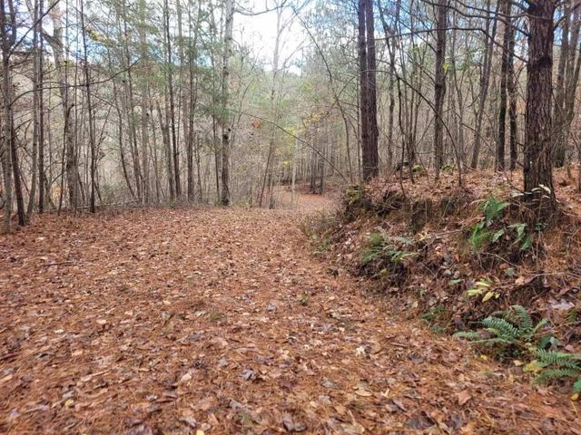 18.22 Talona Road, Ellijay, GA 30540