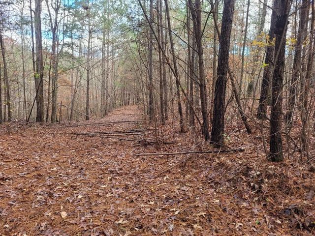 18.22 Talona Road, Ellijay, GA 30540