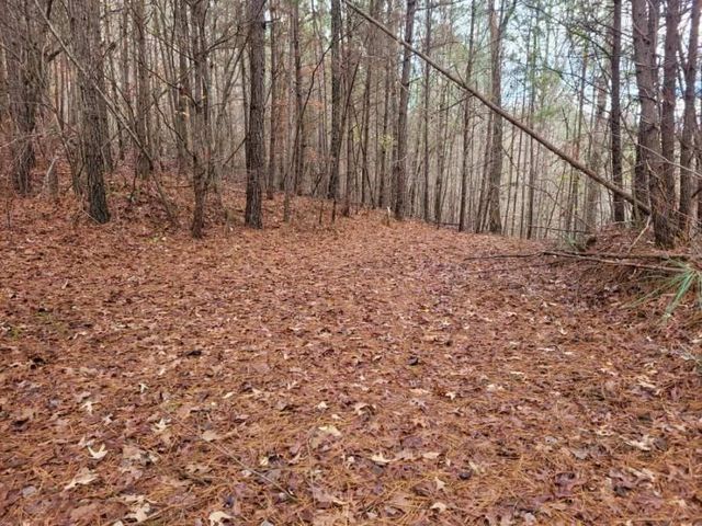 18.22 Talona Road, Ellijay, GA 30540