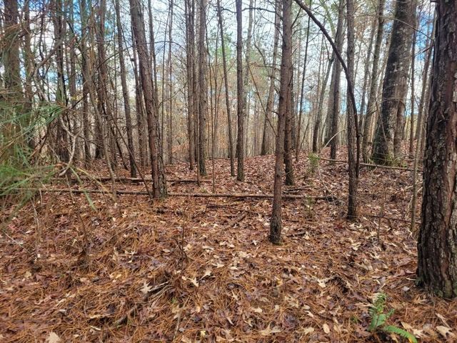 18.22 Talona Road, Ellijay, GA 30540