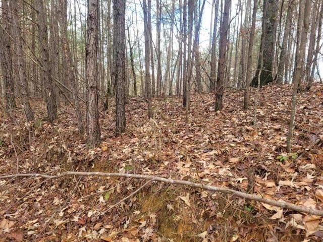 18.22 Talona Road, Ellijay, GA 30540