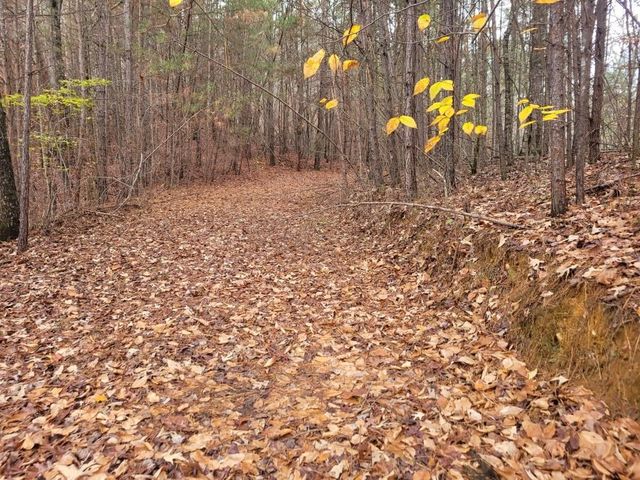 18.22 Talona Road, Ellijay, GA 30540