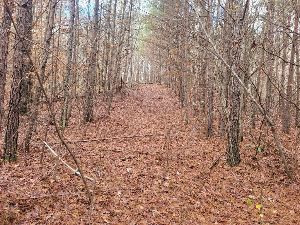 18.22 Talona Road, Ellijay, GA 30540