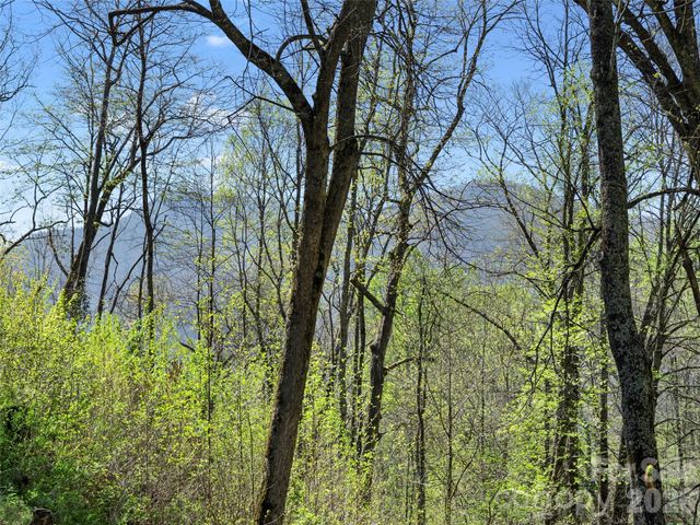 79 Ward Road, Maggie Valley, NC 28751