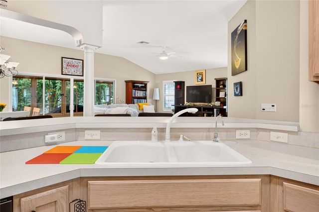 16767 SE 77TH NORTHRIDGE COURT, The Villages, FL 32162