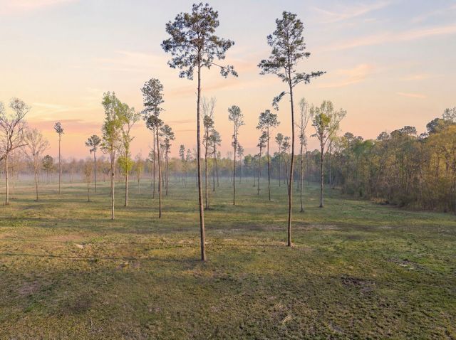 Lot 6 Johnson Drive, Livingston, TX 77351