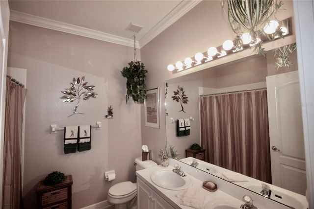 8055 LAUREL RIDGE DRIVE, Mount Dora, FL 32757