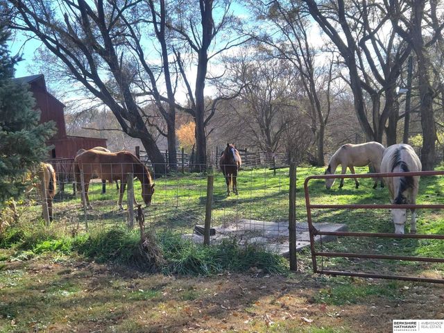 415 & 401 KAFFENBERGER Drive, Murray, NE 68409