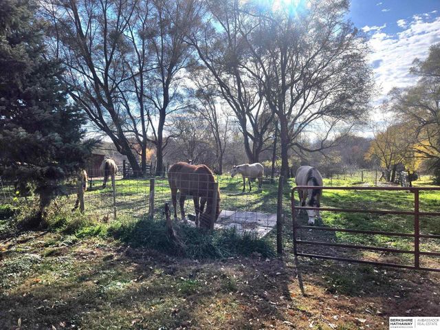 415 & 401 KAFFENBERGER Drive, Murray, NE 68409