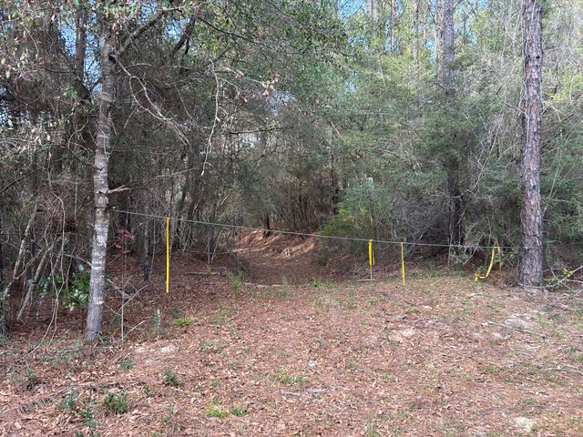 0 Ryan Road, Crestview, FL 32539