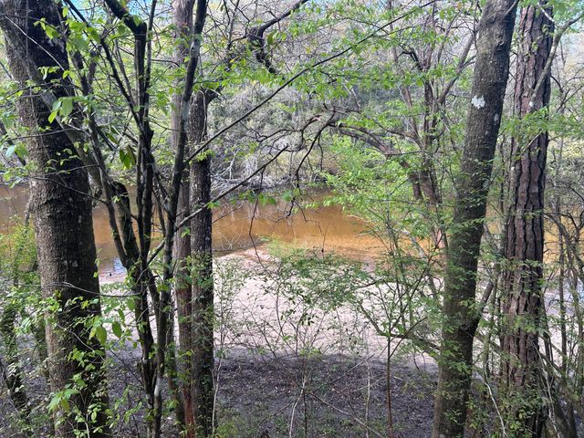 0 Ryan Road, Crestview, FL 32539