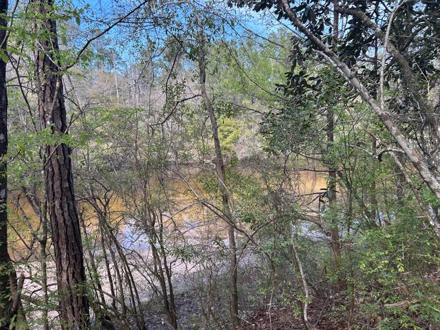 0 Ryan Road, Crestview, FL 32539