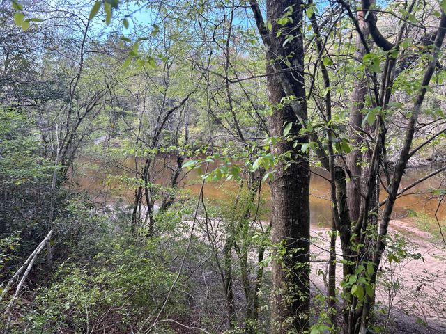 0 Ryan Road, Crestview, FL 32539