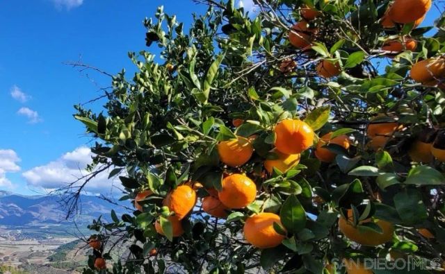 13155 McNally Road, Valley Center, CA 92082