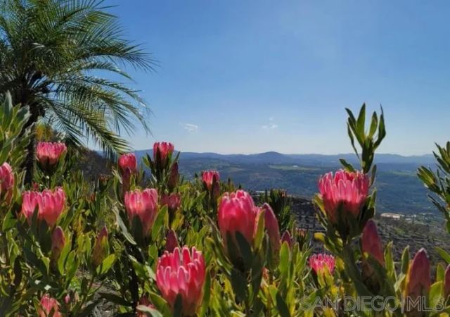 13155 McNally Road, Valley Center, CA 92082