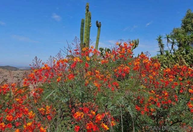 13155 McNally Road, Valley Center, CA 92082