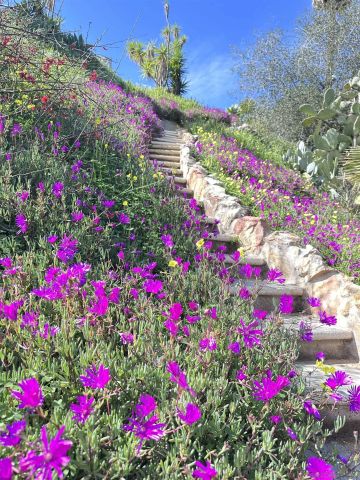 13155 McNally Road, Valley Center, CA 92082