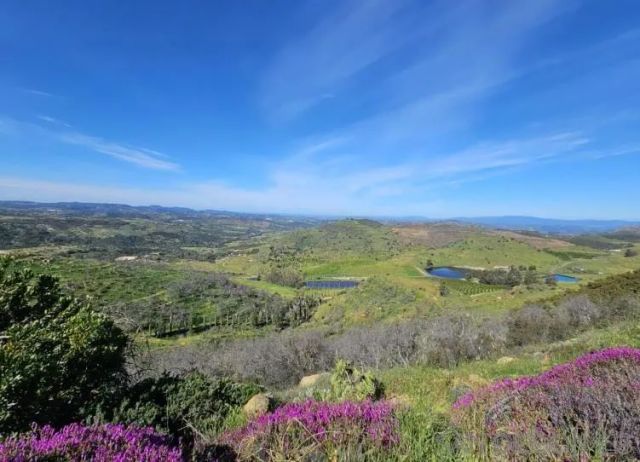 13155 McNally Road, Valley Center, CA 92082