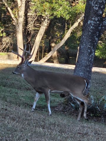 686 Cattlebaron Parc Drive, Fort Worth, TX 76108