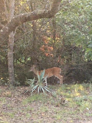 686 Cattlebaron Parc Drive, Fort Worth, TX 76108