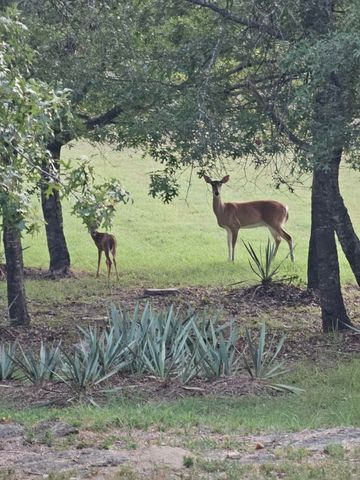 686 Cattlebaron Parc Drive, Fort Worth, TX 76108