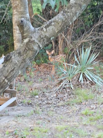 686 Cattlebaron Parc Drive, Fort Worth, TX 76108