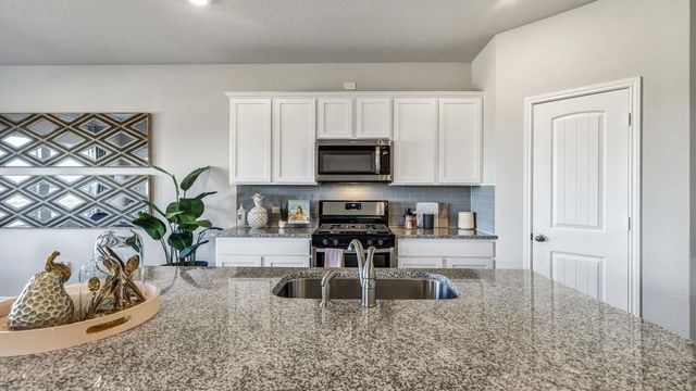 13712 Bothwell PL, Manor, TX 78653