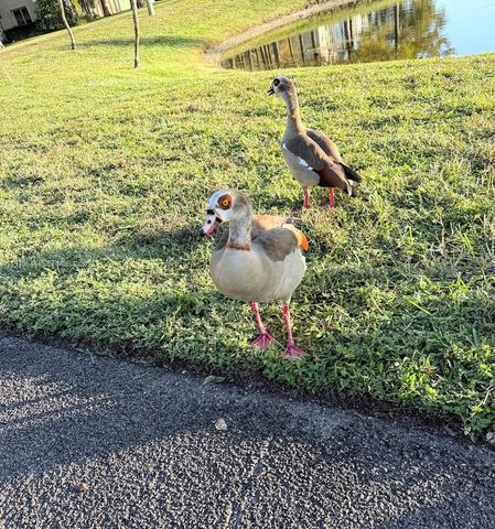 7900 NW 50th St 304, Lauderhill, FL 33351